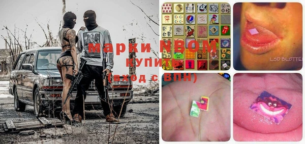 мяу мяу мука Баксан