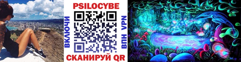 где можно купить наркотик  Шали  Галлюциногенные грибы Magic Shrooms 